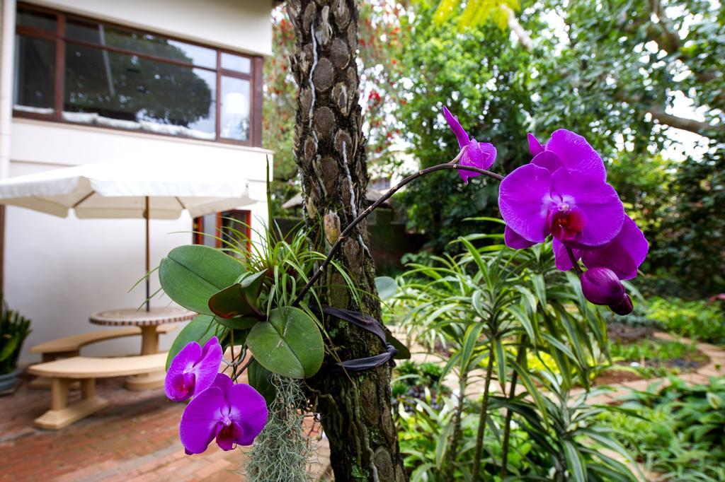Oliveroom Self Catering And B&B Durban Eksteriør billede