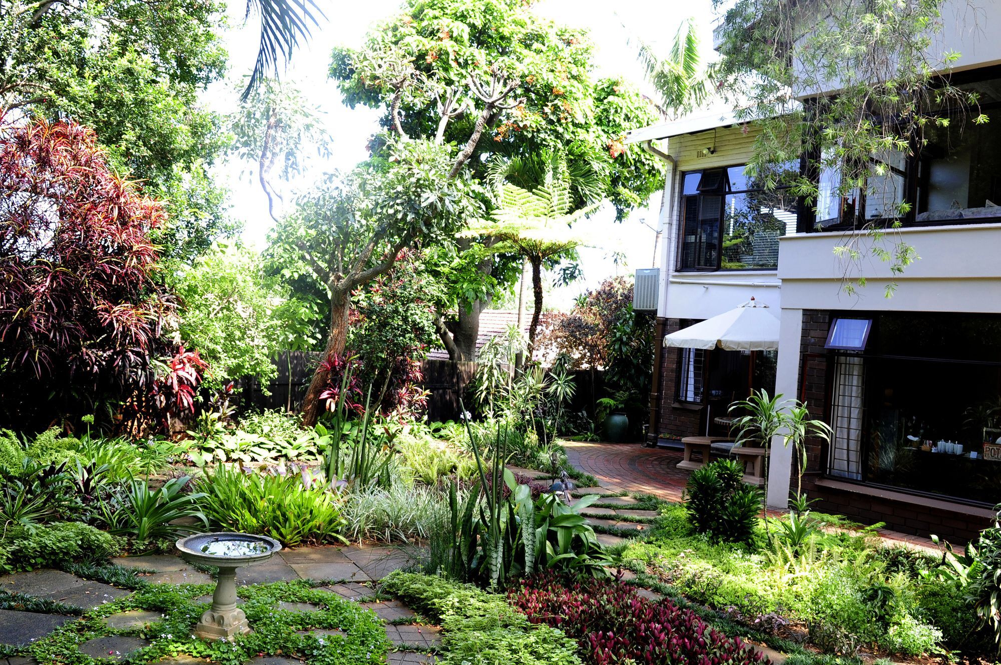 Oliveroom Self Catering And B&B Durban Eksteriør billede